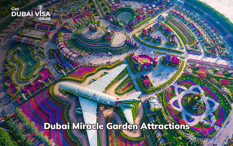 Dubai Miracle Garden Attractions: Tickets, Timings, Location & Best Time to Visit