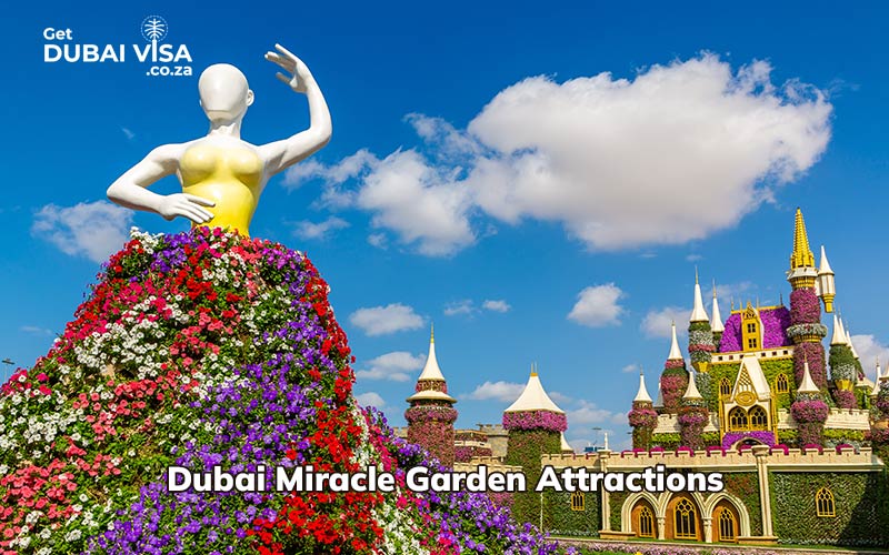 Dubai Miracle Garden attractions