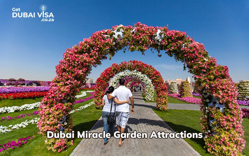 Dubai Miracle Garden attractions