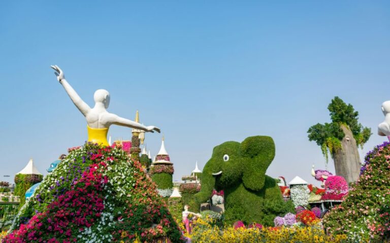 travel to Dubai from South Africa